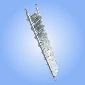 Scaffolding Ladder